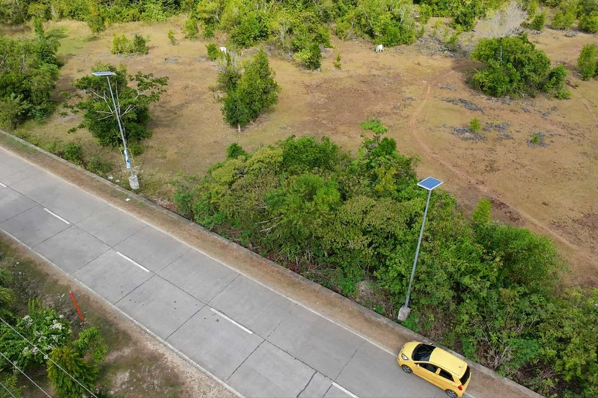 Land for Sale in San Isidro, Dauis, Bohol – photo 2