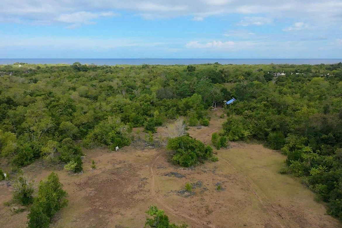 Land for Sale in San Isidro, Dauis, Bohol – photo 5