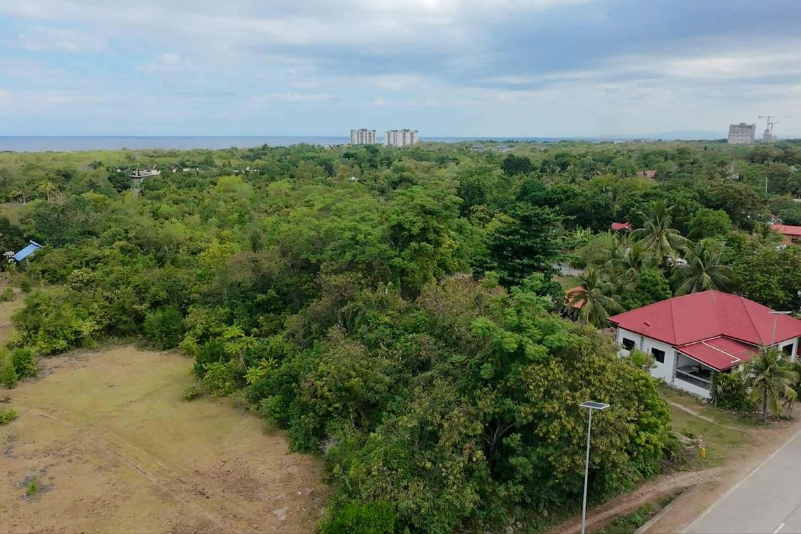 Land for Sale in San Isidro, Dauis, Bohol – photo 6