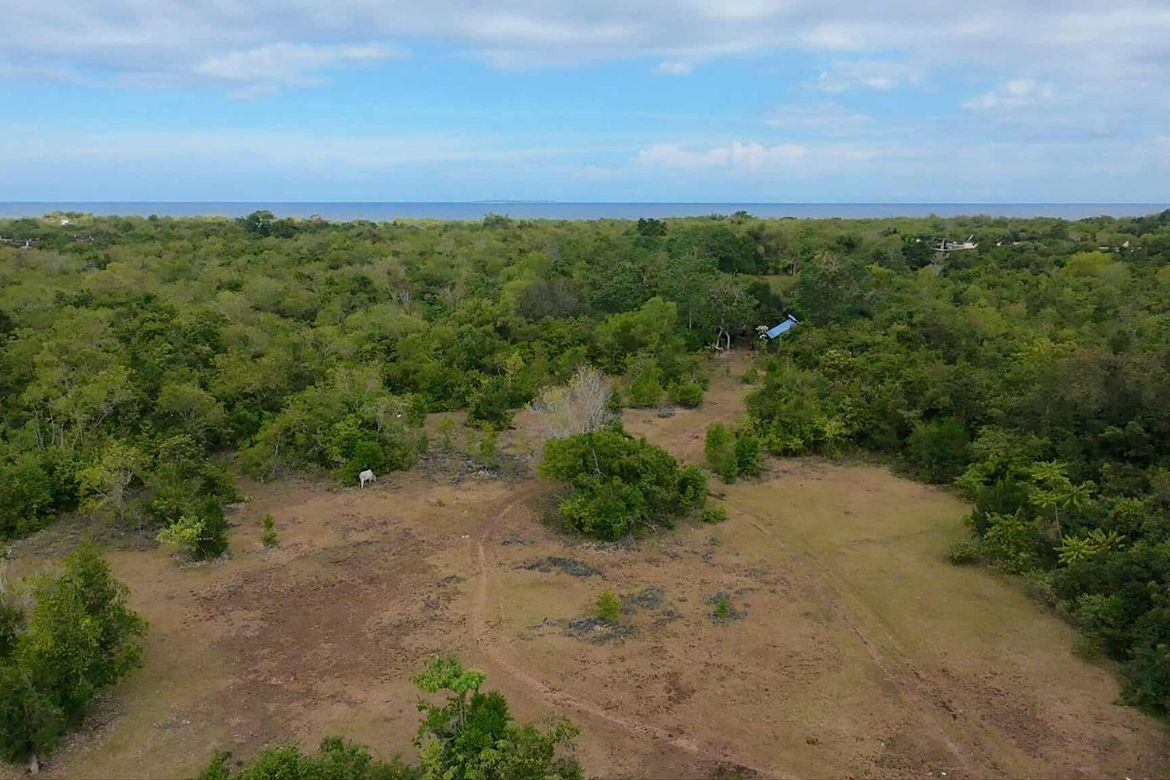Land for Sale in San Isidro, Dauis, Bohol – photo 7