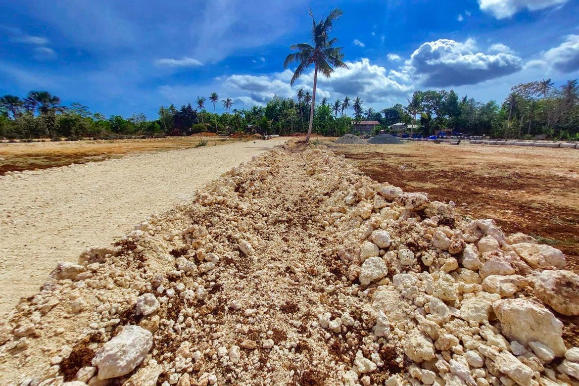 Land for Sale in San Isidro, Dauis, Bohol – photo 3