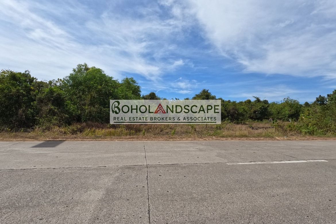 Land for Sale in San Isidro, Dauis, Bohol – photo 5