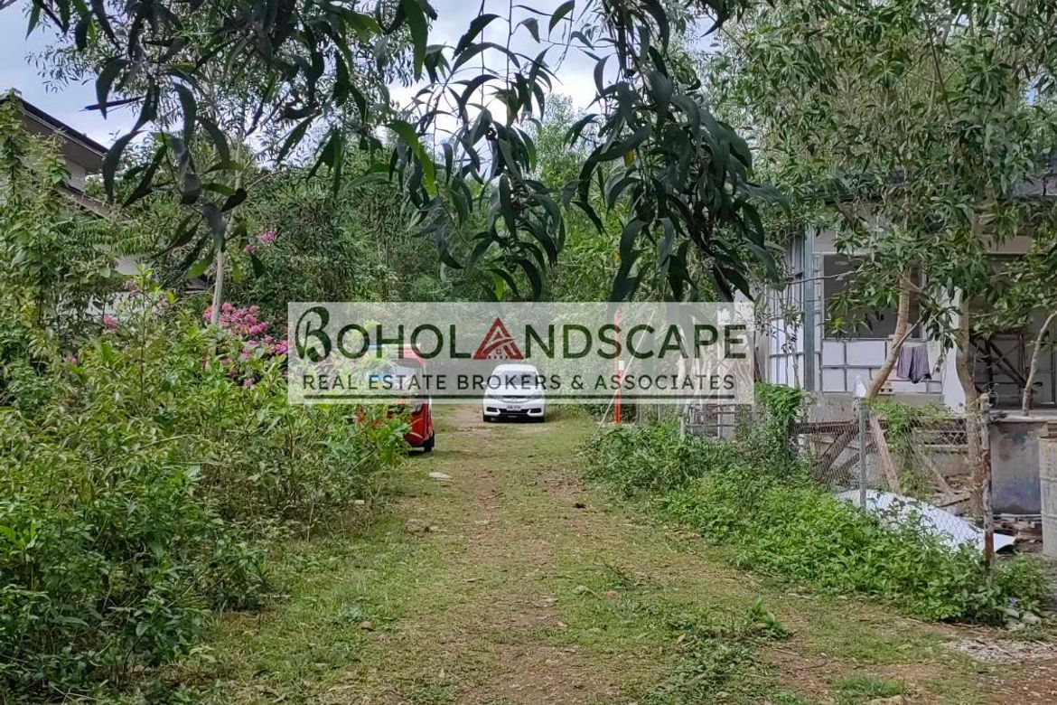 Land for Sale in San Isidro, Dauis, Bohol