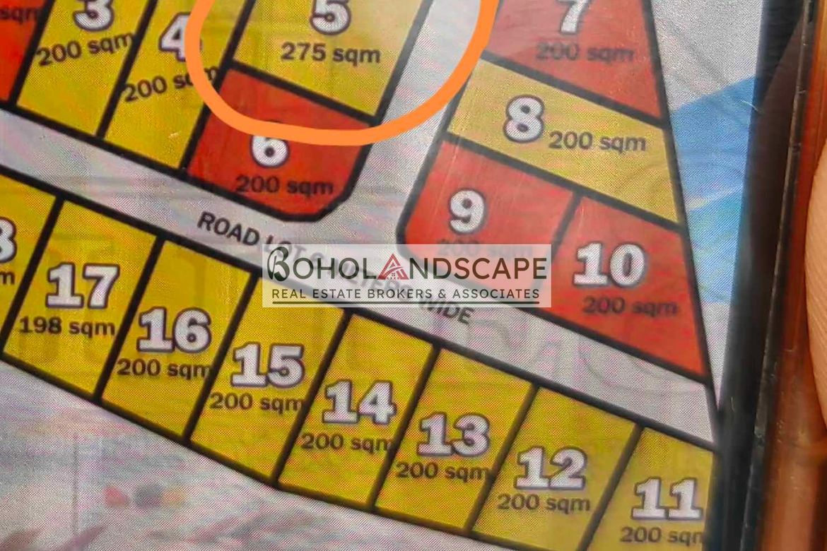 Land for Sale in San Isidro, Dauis, Bohol – photo 2