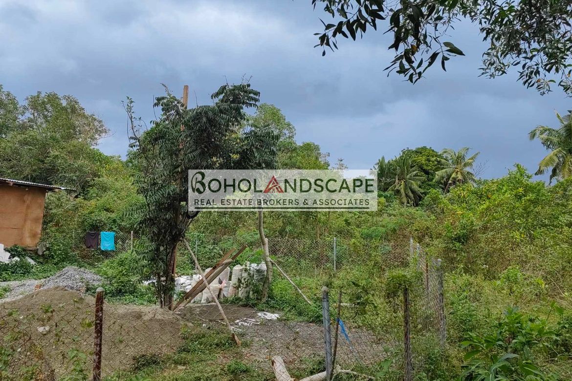Land for Sale in San Isidro, Dauis, Bohol – photo 3