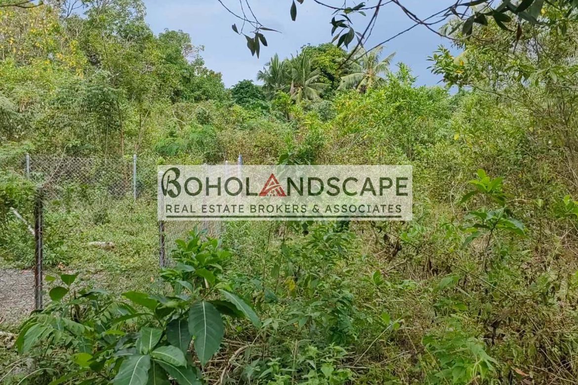 Land for Sale in San Isidro, Dauis, Bohol – photo 4