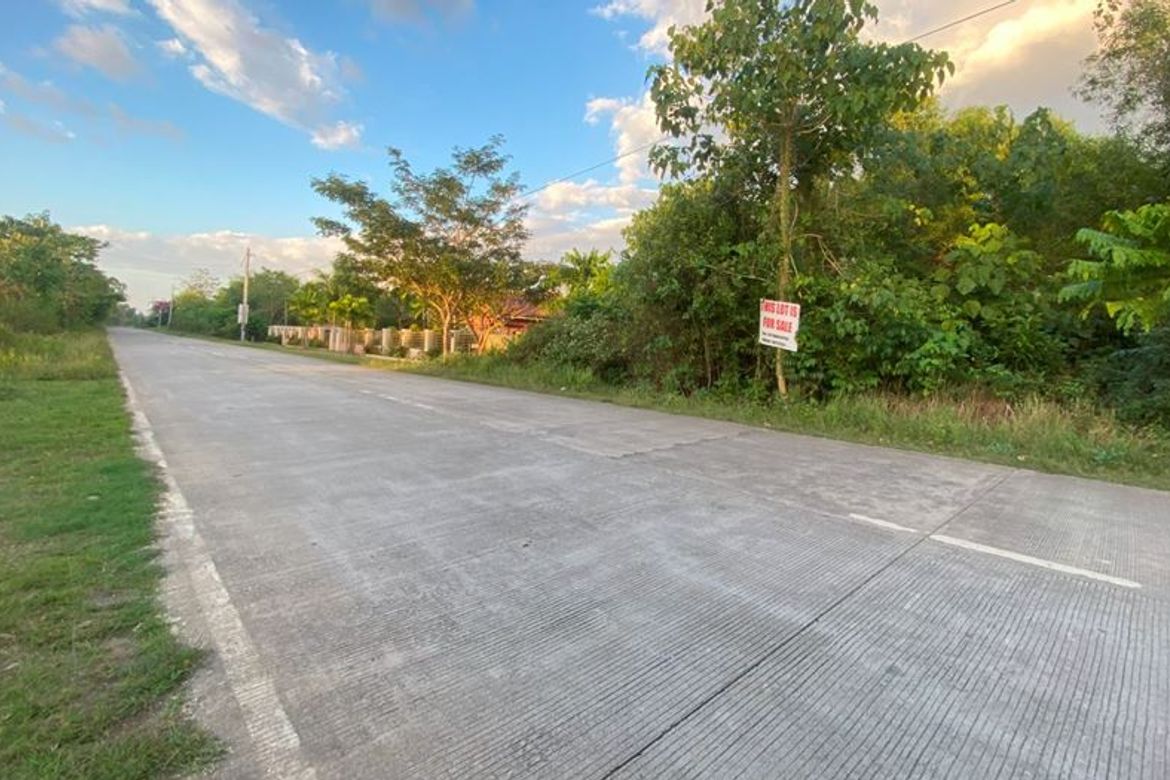 Land for Sale in San Isidro, Dauis, Bohol