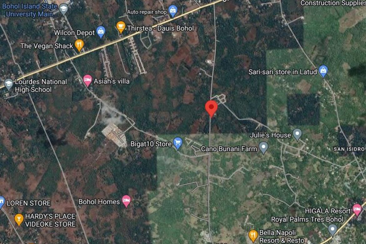 Land for Sale in San Isidro, Dauis, Bohol – photo 4