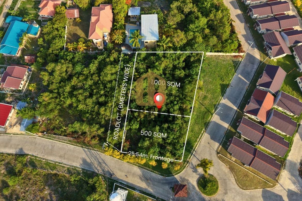 Land for Sale in San Isidro, Dauis, Bohol