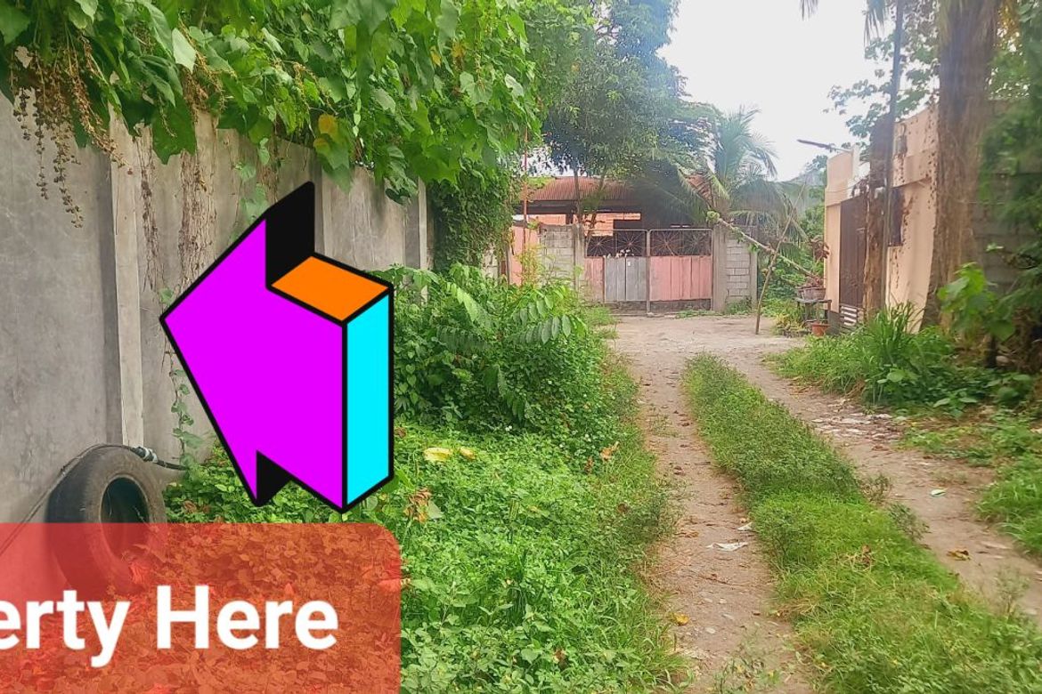 Land for Sale in San Isidro, General Santos, South Cotabato – photo 3