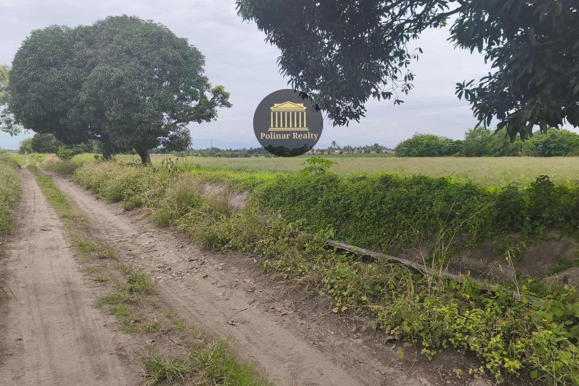 Land for Sale in San Isidro, General Santos, South Cotabato – photo 2