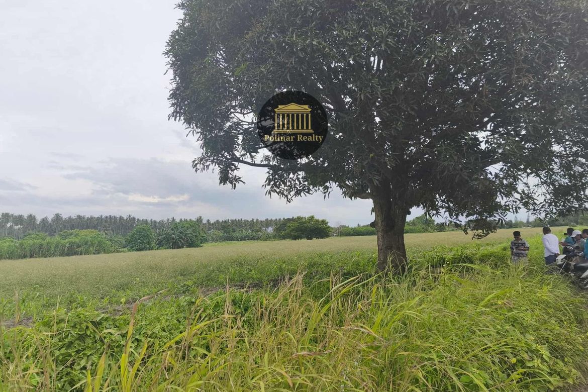 Land for Sale in San Isidro, General Santos, South Cotabato – photo 7