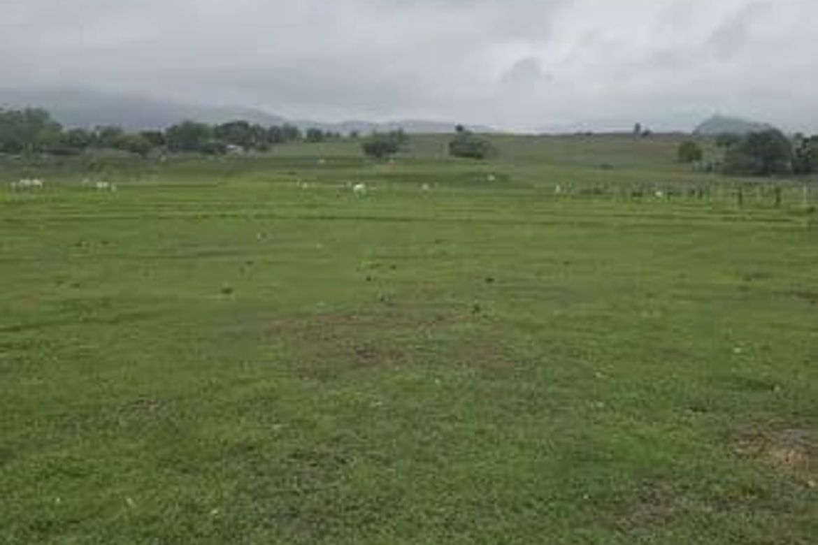 Land for Sale in San Isidro, La Paz, Tarlac – photo 5