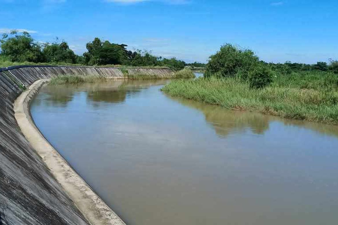 Land for Sale in San Isidro, La Paz, Tarlac – photo 4