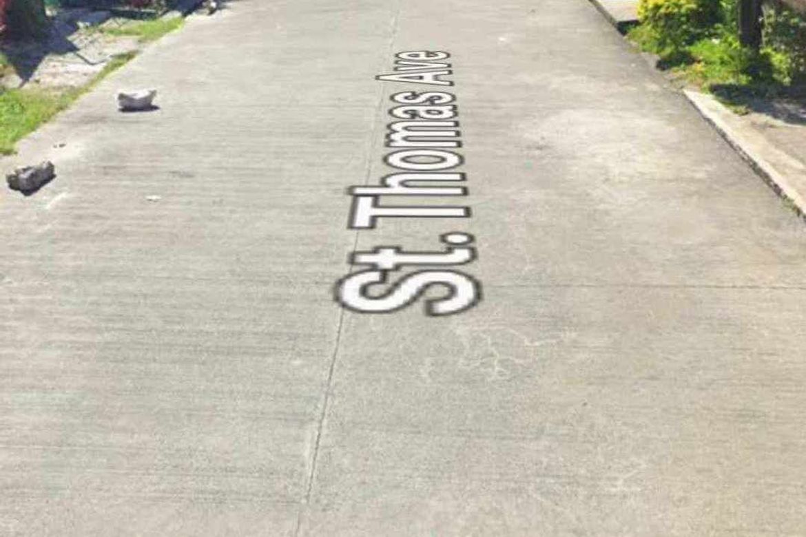 Land for Sale in San Isidro, Parañaque, Metro Manila – photo 3