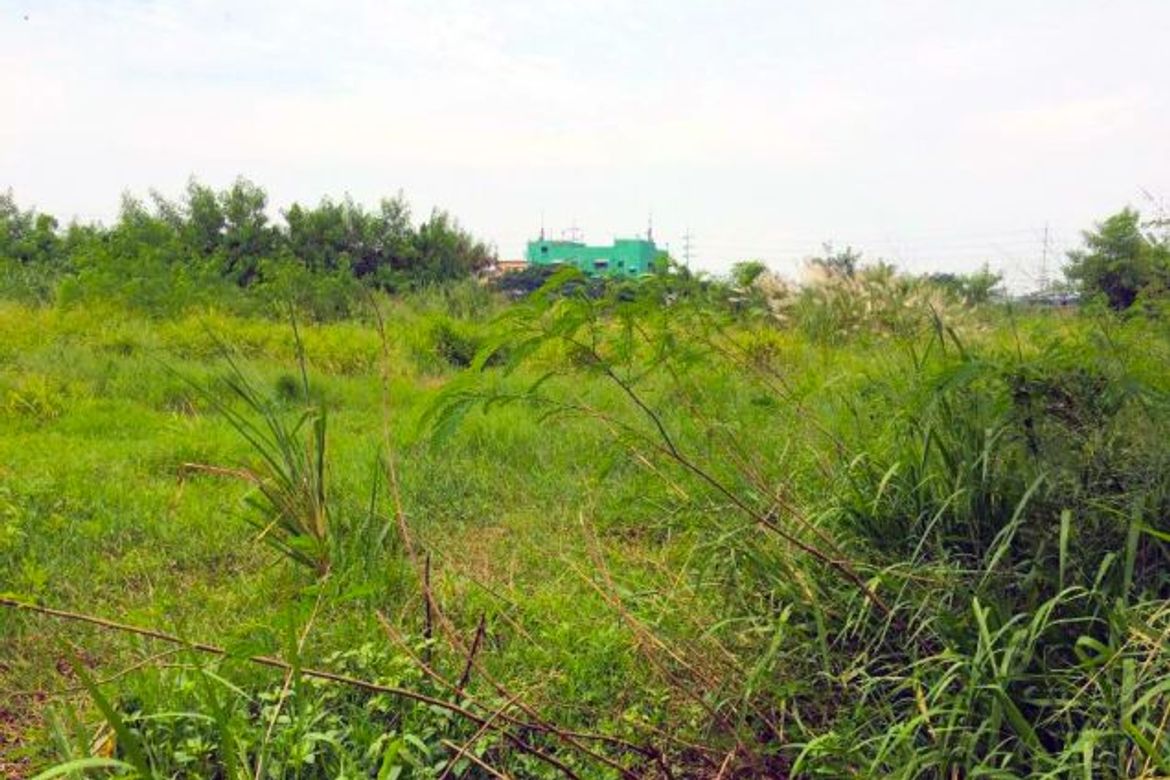 Land for Sale in San Isidro, Parañaque, Metro Manila