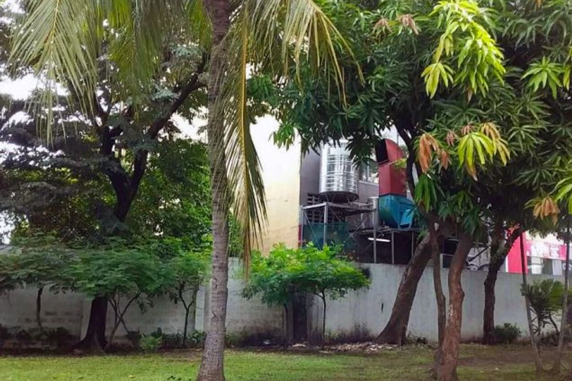 Land for Sale in San Isidro, Parañaque, Metro Manila – photo 3
