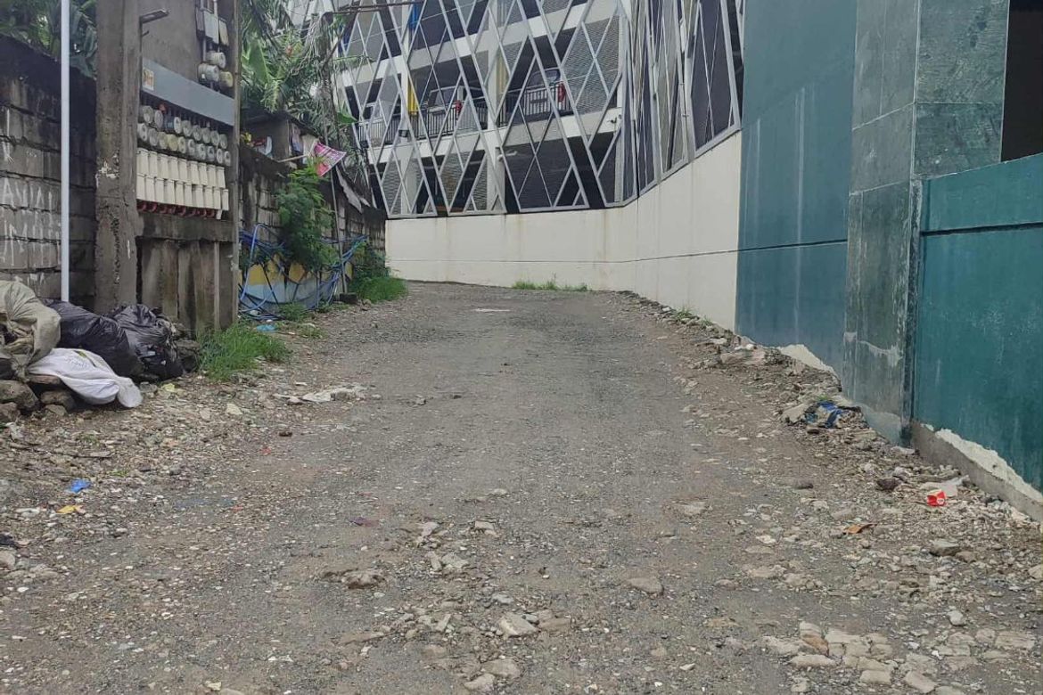 Land for Sale in San Isidro, Parañaque, Metro Manila – photo 2