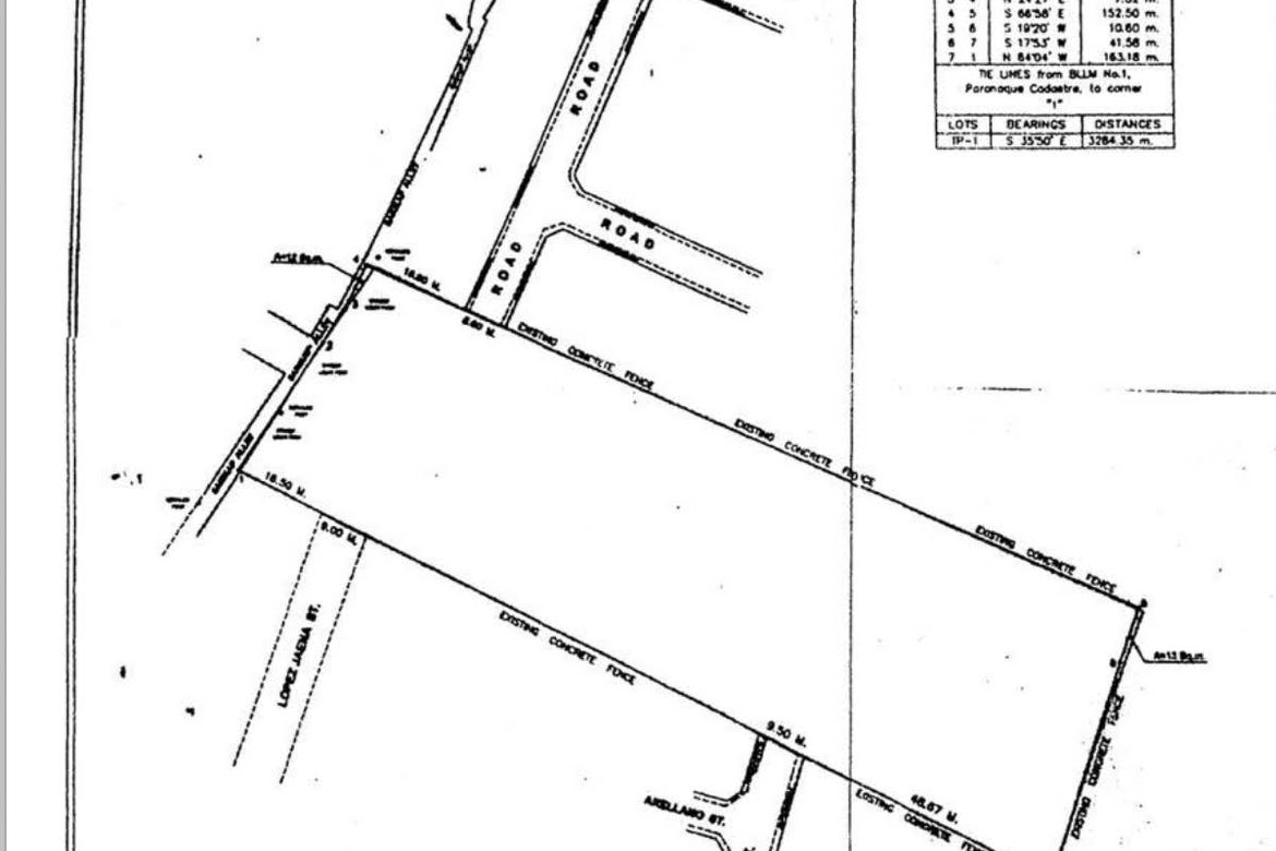 Land for Sale in San Isidro, Parañaque, Metro Manila