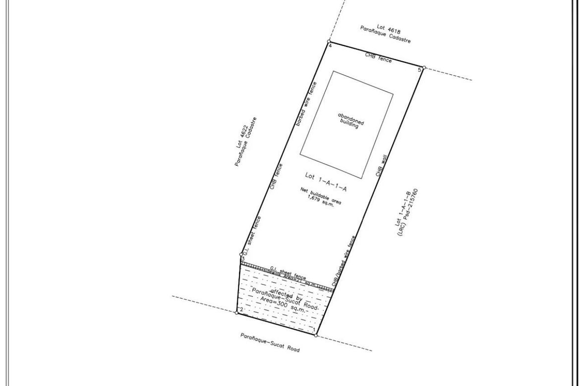 Land for Sale in San Isidro, Parañaque, Metro Manila – photo 4