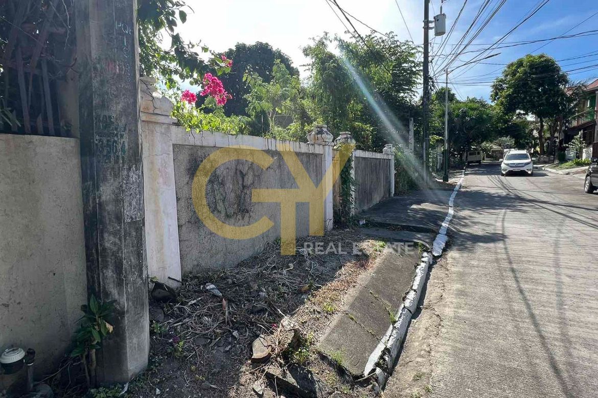 Land for Sale in San Isidro, Parañaque, Metro Manila – photo 3