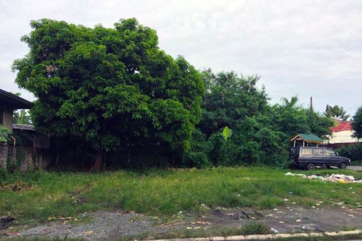 Land for Sale in San Isidro, Parañaque, Metro Manila – photo 4