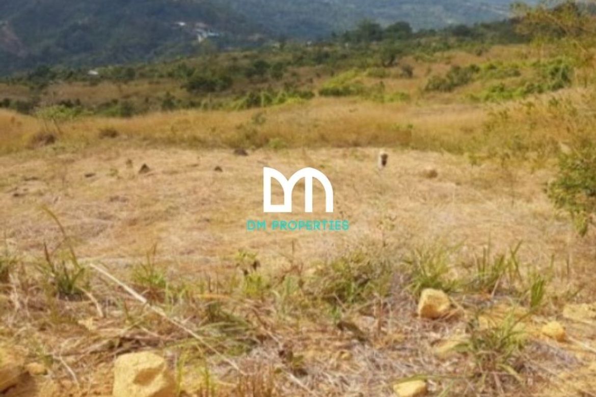 Land for Sale in San Isidro, Rodriguez, Rizal – photo 4