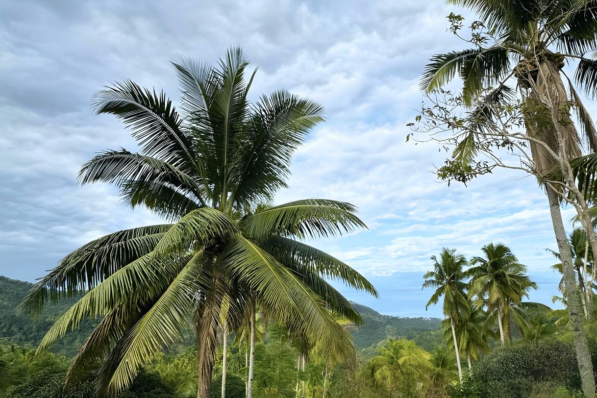 Land for Sale in San Isidro, Samal, Davao del Norte – photo 3
