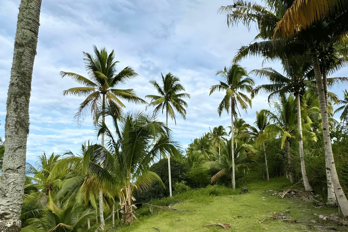 Land for Sale in San Isidro, Samal, Davao del Norte – photo 4