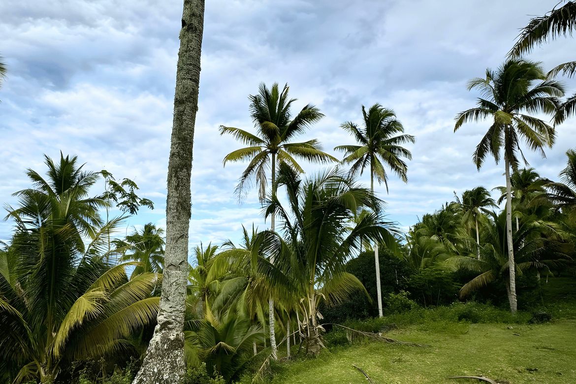 Land for Sale in San Isidro, Samal, Davao del Norte – photo 5