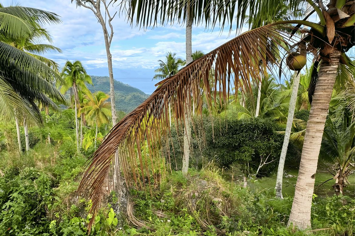 Land for Sale in San Isidro, Samal, Davao del Norte – photo 8