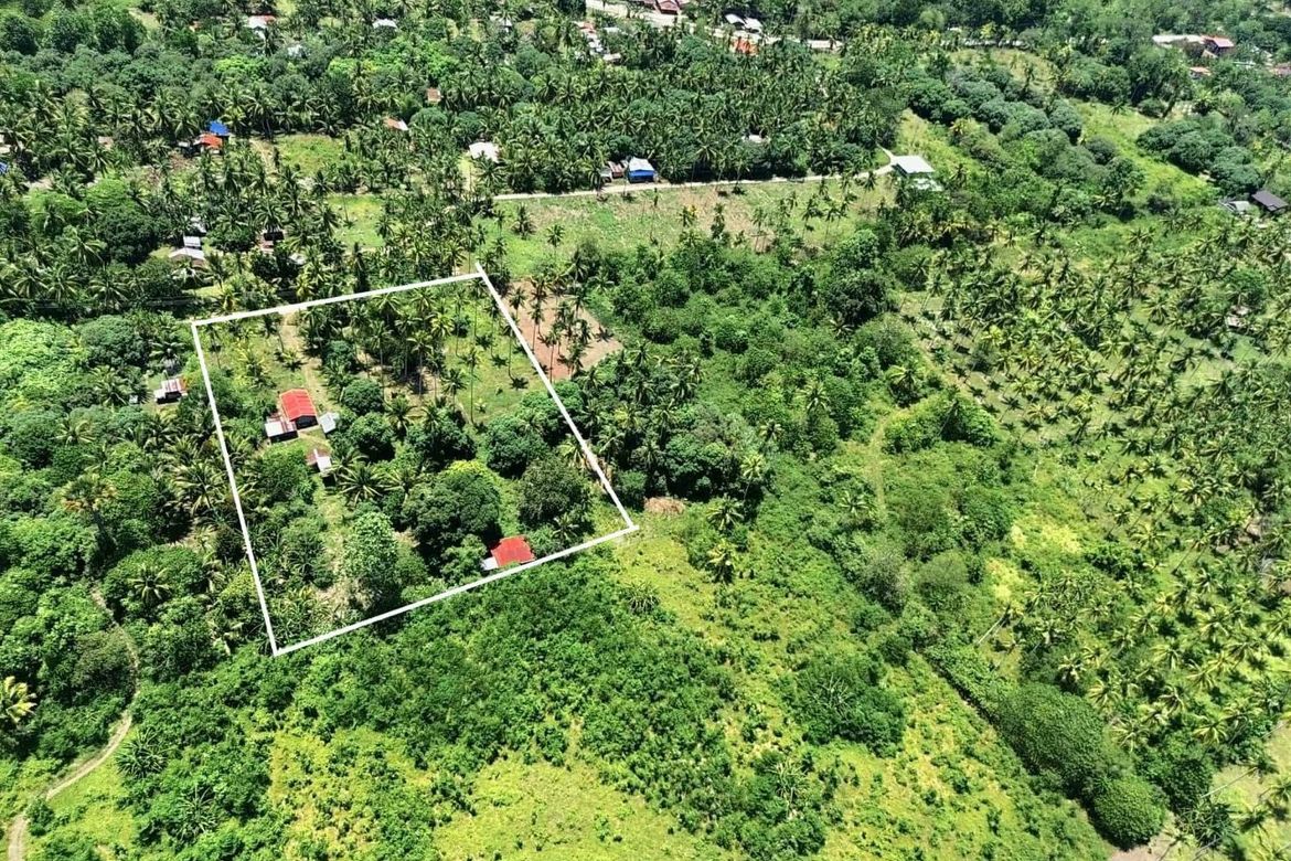 Land for Sale in San Isidro, Samal, Davao del Norte – photo 2