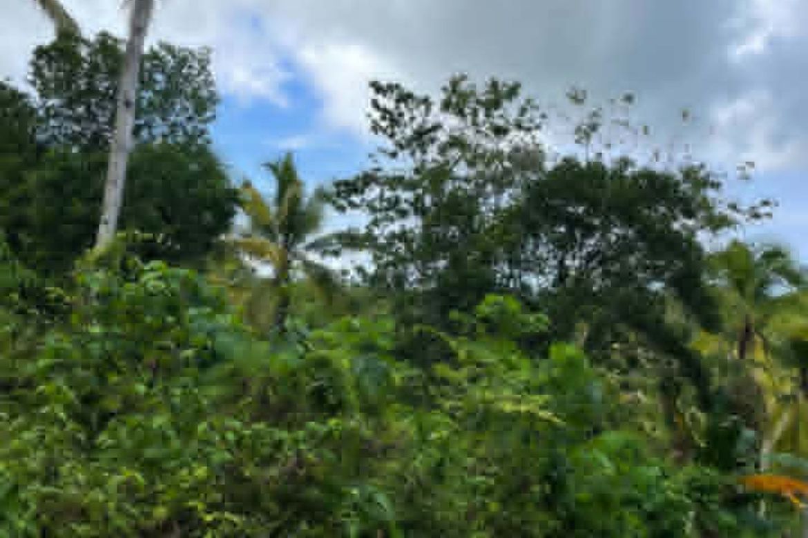Land for Sale in San Isidro, Samal, Davao del Norte – photo 3