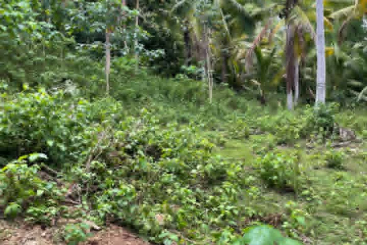 Land for Sale in San Isidro, Samal, Davao del Norte – photo 4
