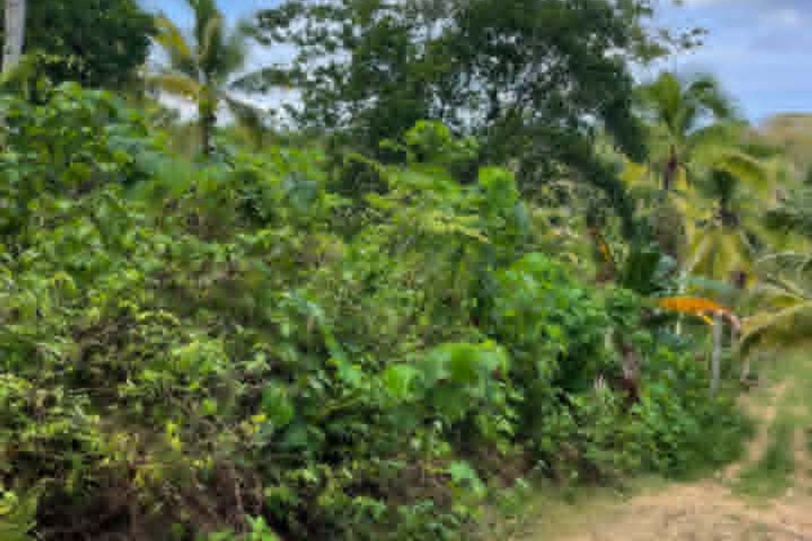 Land for Sale in San Isidro, Samal, Davao del Norte – photo 6