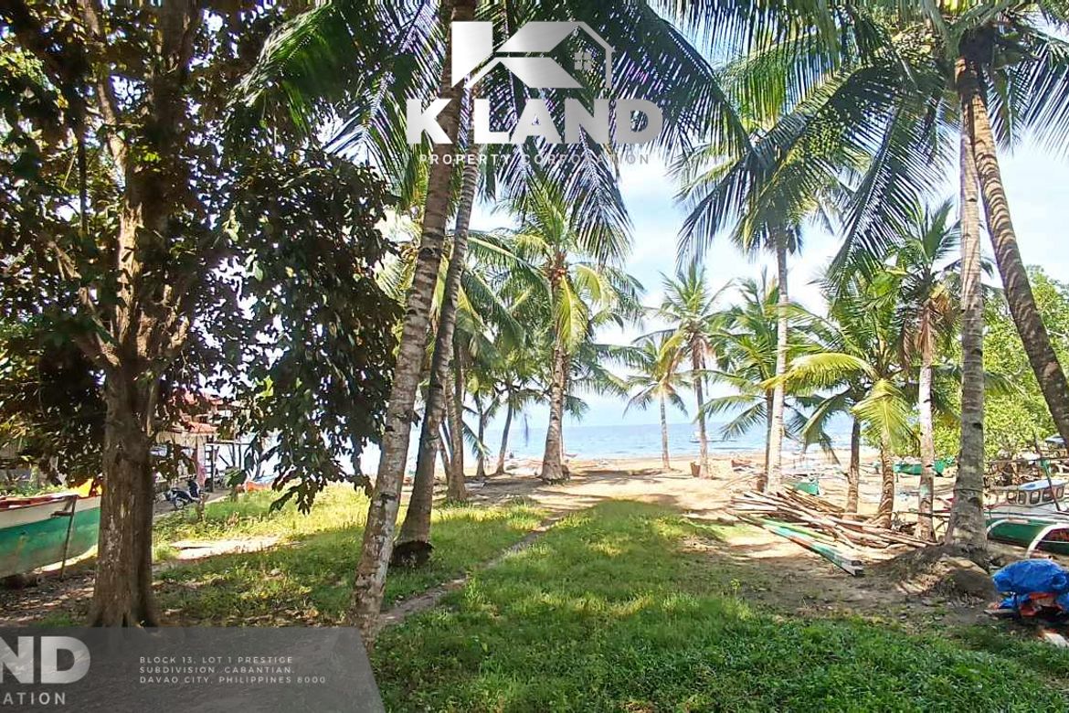 Land for Sale in San Isidro, Samal, Davao del Norte – photo 2