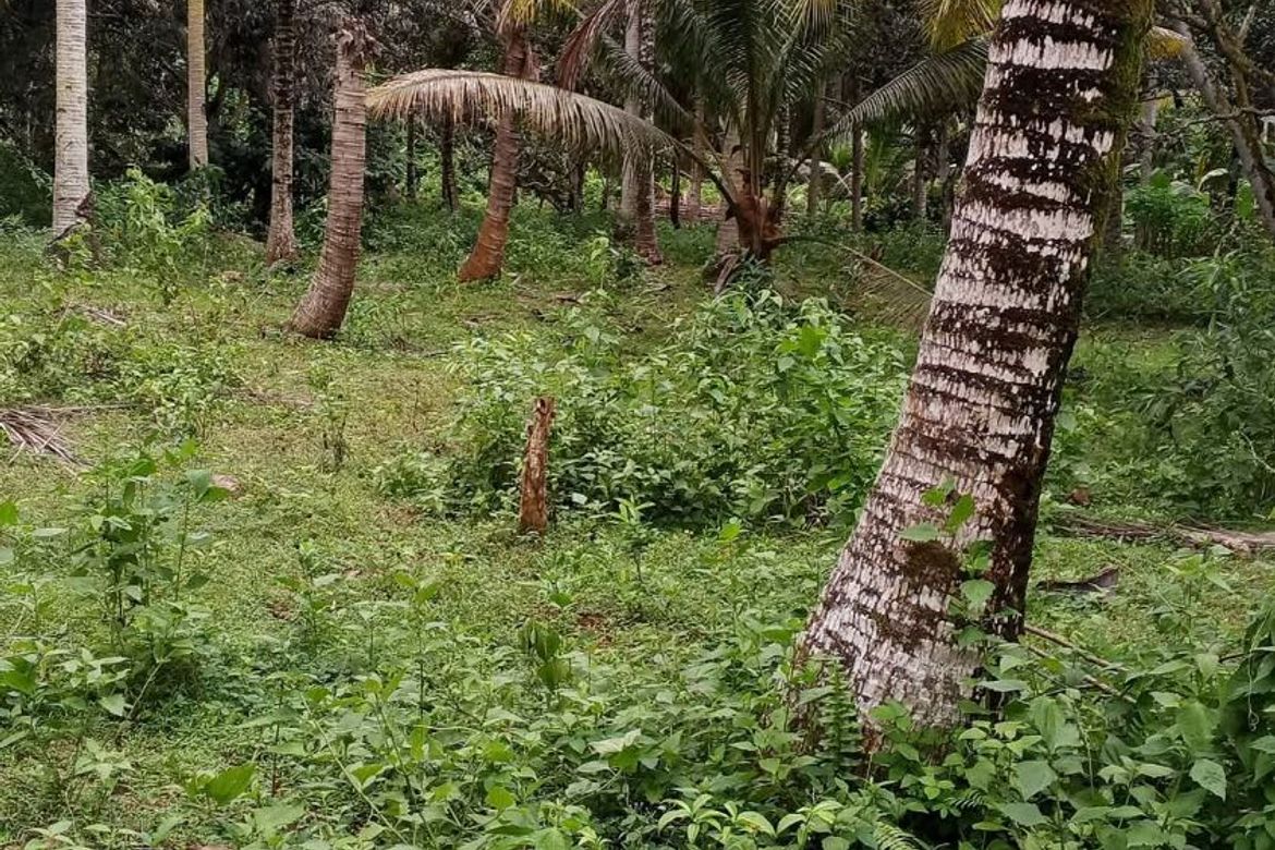 Land for Sale in San Isidro, Samal, Davao del Norte