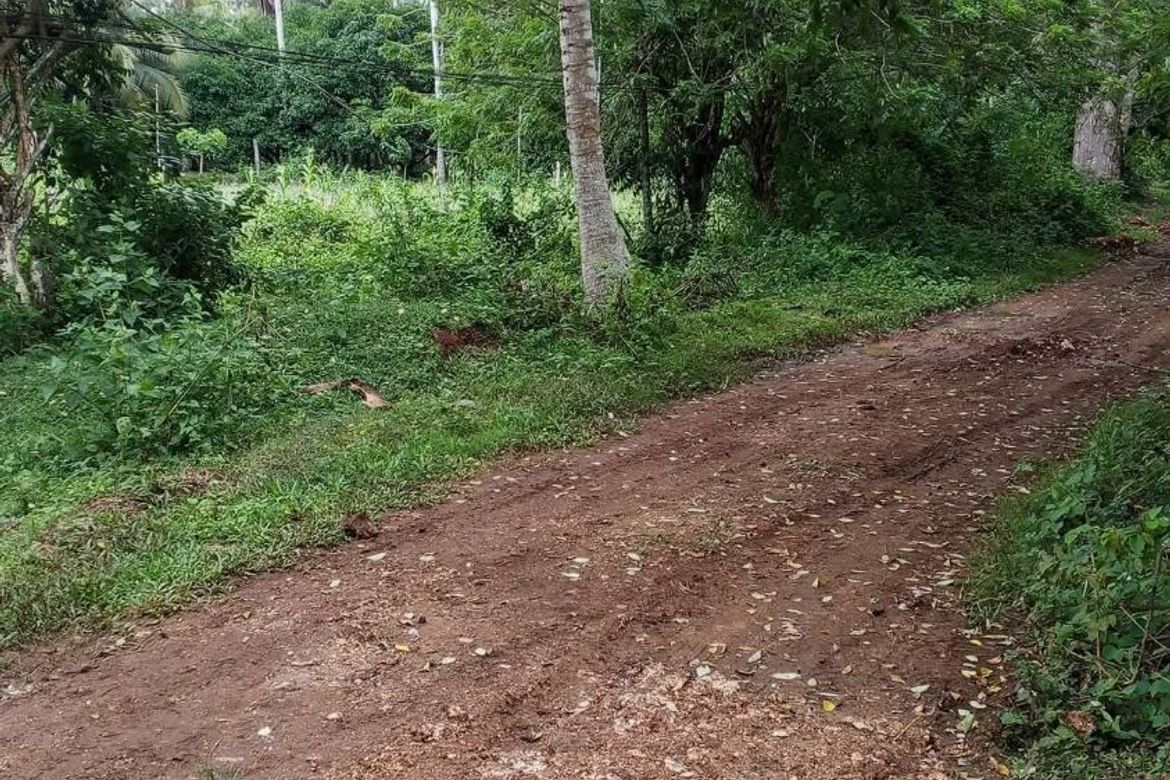 Land for Sale in San Isidro, Samal, Davao del Norte – photo 3
