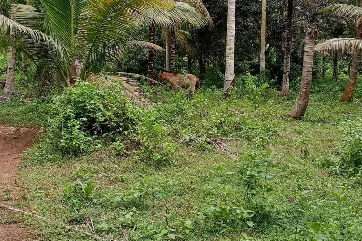 Land for Sale in San Isidro, Samal, Davao del Norte – photo 4