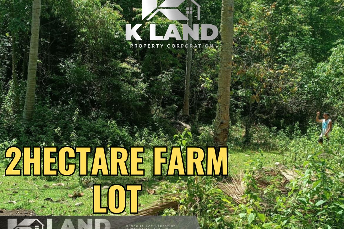 Land for Sale in San Isidro, Samal, Davao del Norte