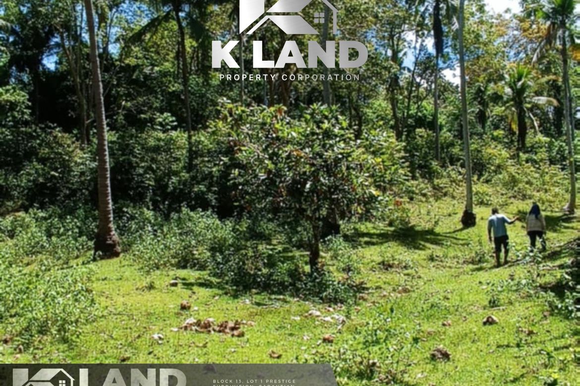 Land for Sale in San Isidro, Samal, Davao del Norte – photo 3