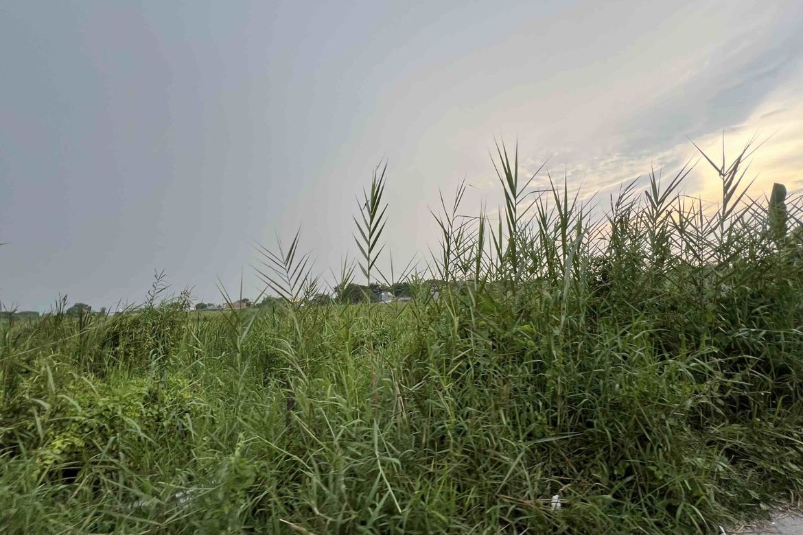 Land for Sale in San Isidro, San Fernando, Pampanga – photo 3
