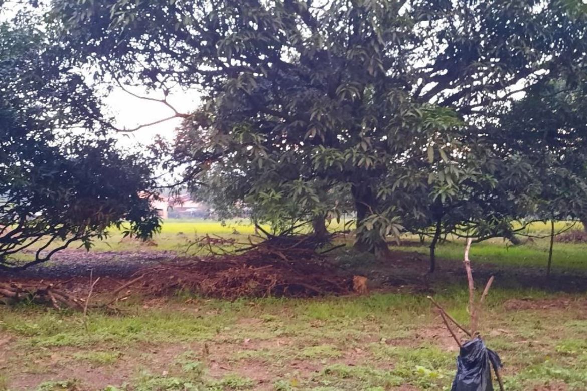 Land for Sale in San Isidro, San Luis, Pampanga – photo 2