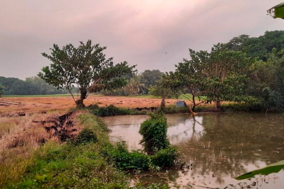 Land for Sale in San Isidro, San Luis, Pampanga – photo 3