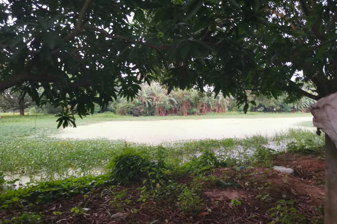 Land for Sale in San Isidro, San Luis, Pampanga – photo 4