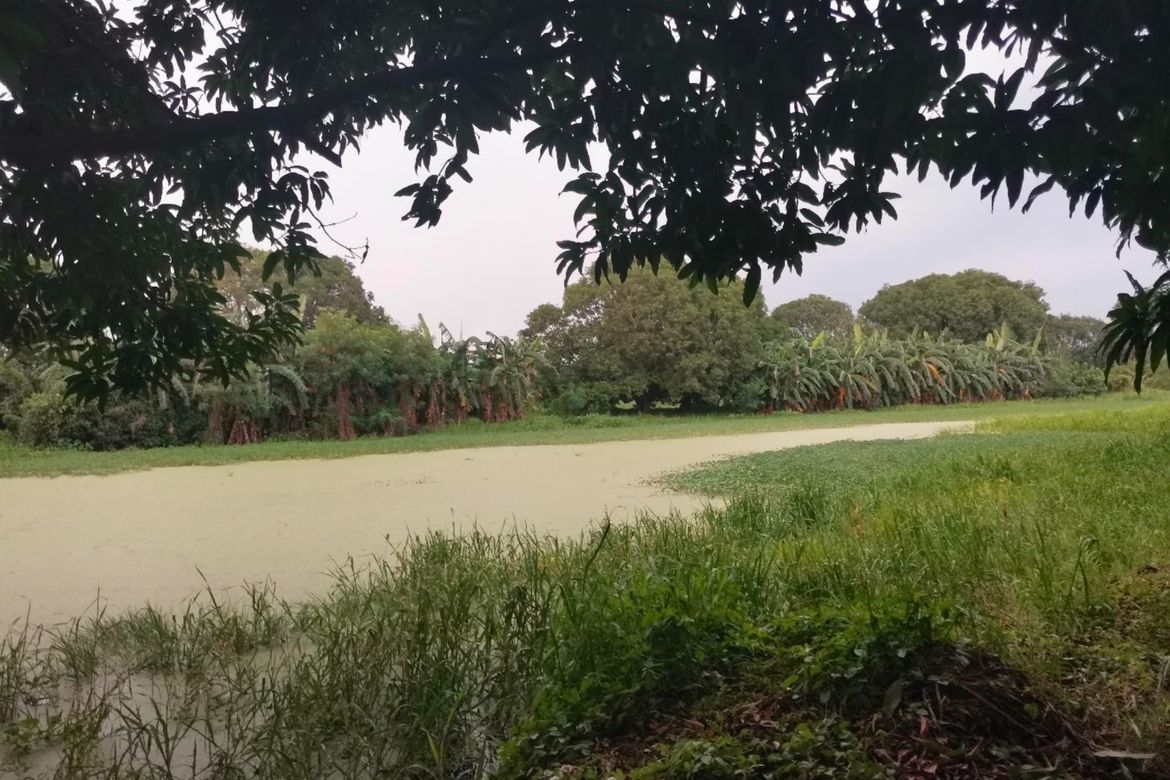 Land for Sale in San Isidro, San Luis, Pampanga – photo 8