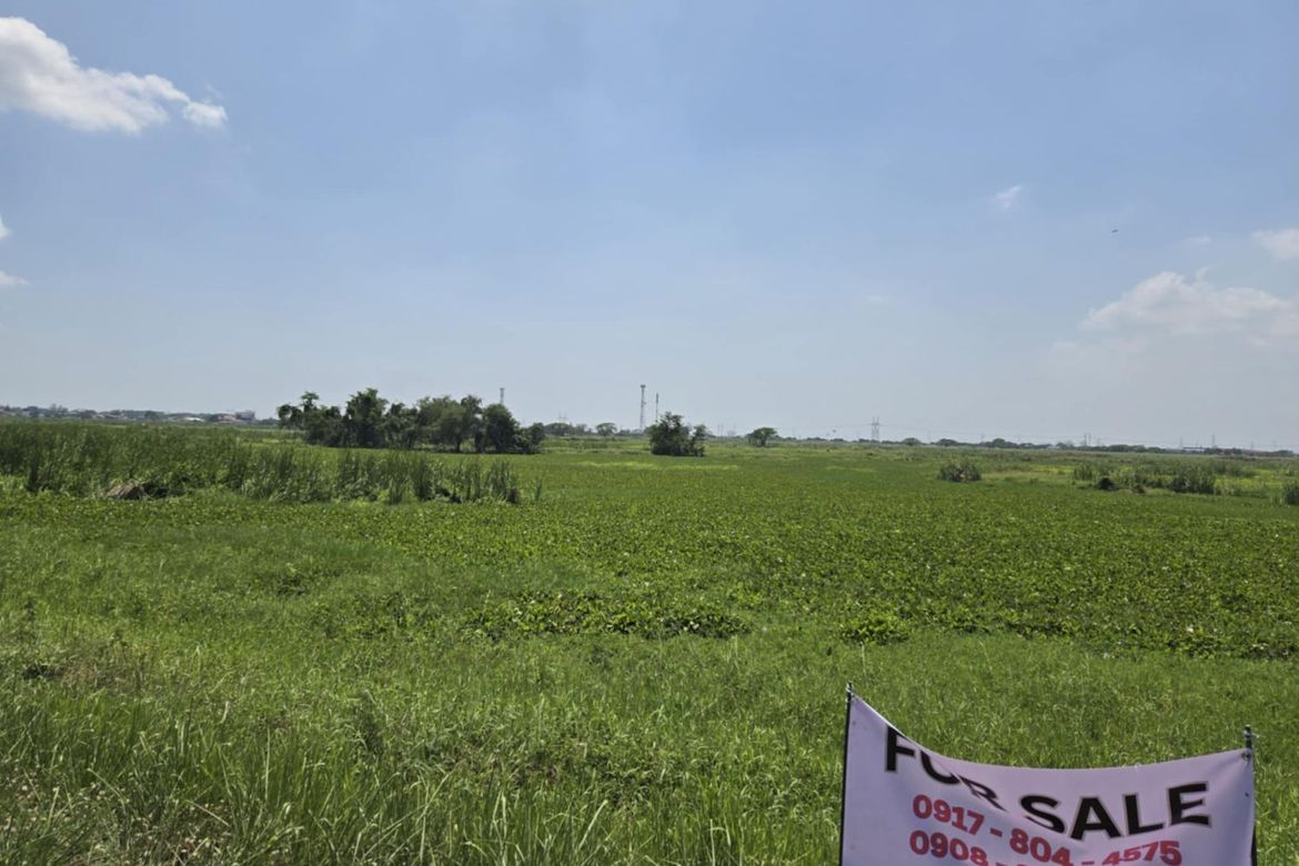 Land for Sale in San Isidro, San Simon, Pampanga – photo 7