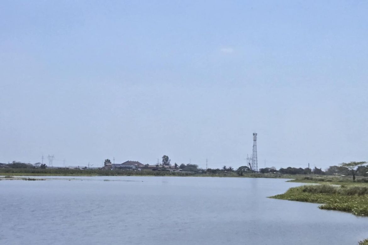 Land for Sale in San Isidro, San Simon, Pampanga – photo 8