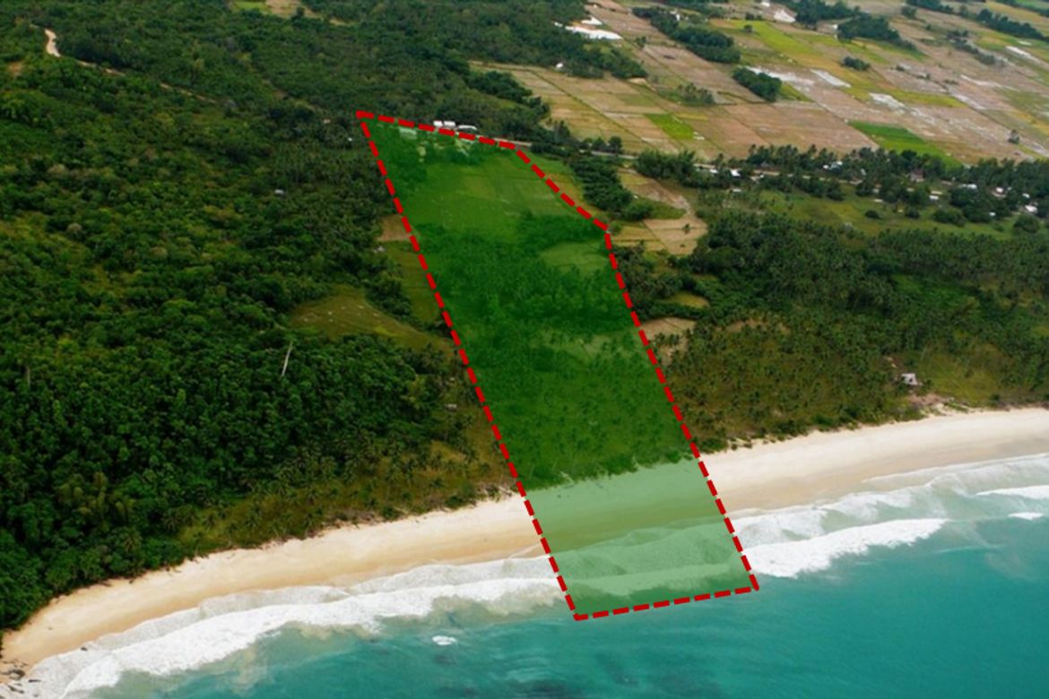 Land for Sale in San Isidro, San Vicente, Palawan – photo 3