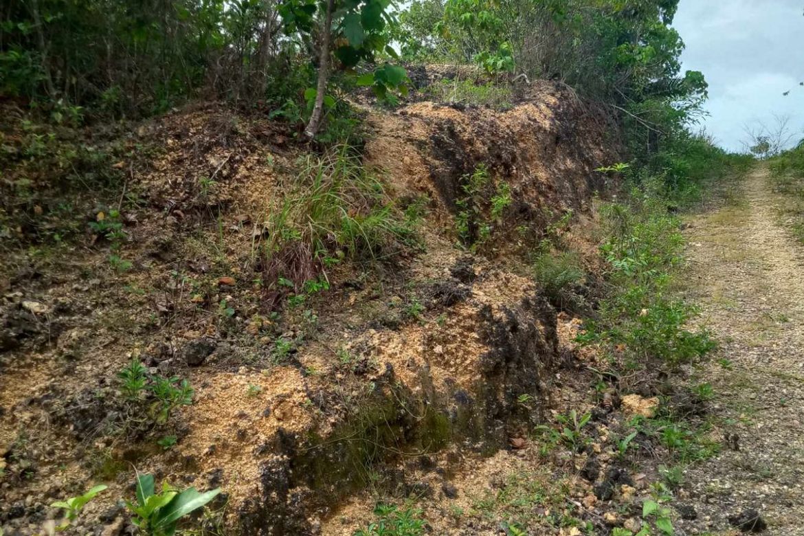 Land for Sale in San Isidro, Tagbilaran, Bohol – photo 4